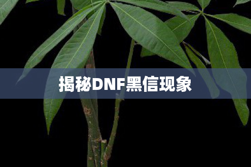揭秘DNF黑信现象图片