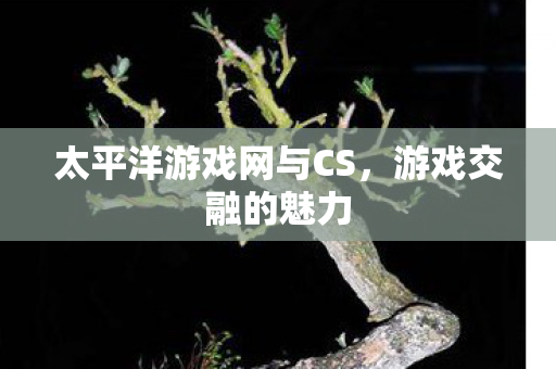 太平洋游戏网与CS图片