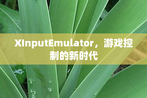 XInputEmulator图片
