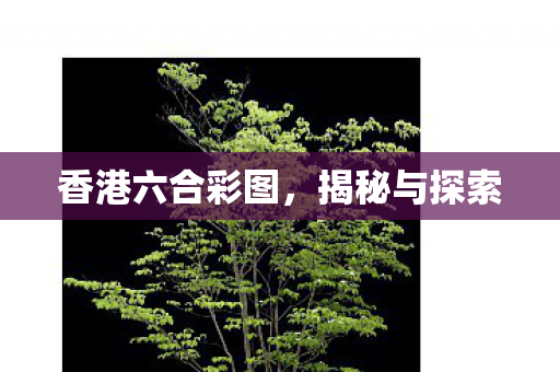 香港六合彩图图片