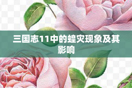 三国志11中的蝗灾现象及其影响图片