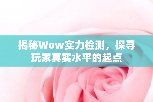 探寻玩家真实水平的起点图片