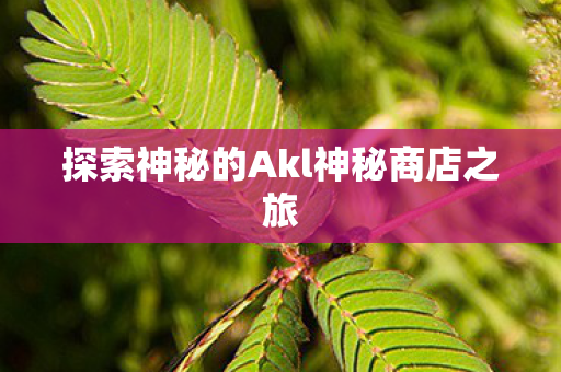探索神秘的Akl神秘商店之旅图片