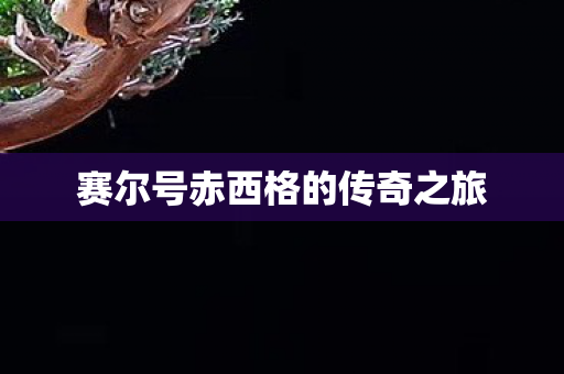赛尔号赤西格的传奇之旅图片