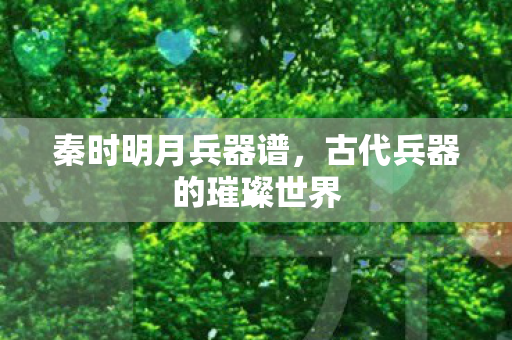 古代兵器的璀璨世界图片