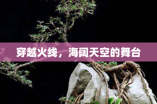 海阔天空的舞台图片