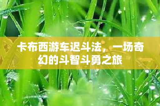 一场奇幻的斗智斗勇之旅图片