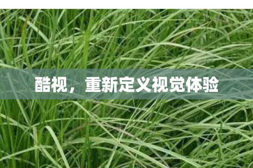 重新定义视觉体验图片