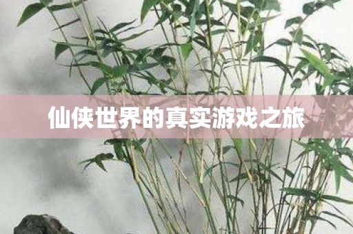 仙侠世界的真实游戏之旅图片