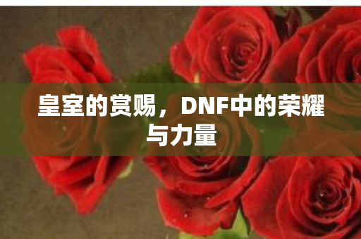DNF中的荣耀与力量图片