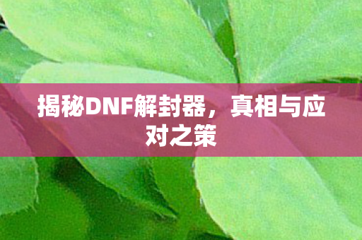 揭秘DNF解封器图片