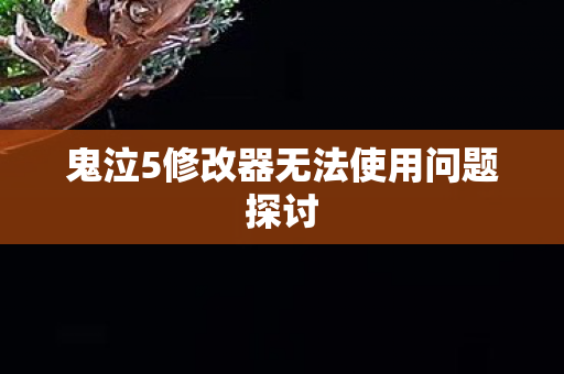 鬼泣5修改器无法使用问题探讨图片
