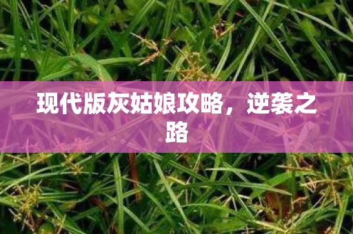 现代版灰姑娘攻略图片