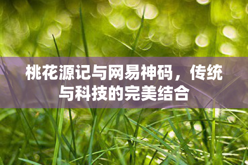 传统与科技的完美结合图片