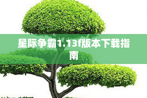 13f版本下载指南图片