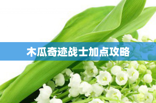 木瓜奇迹战士加点攻略图片