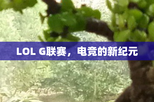 LOL G联赛图片