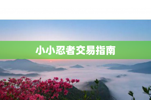 小小忍者交易指南图片