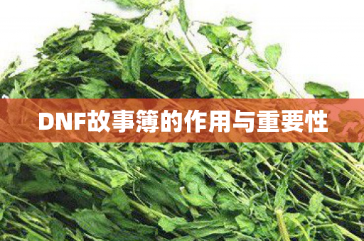 DNF故事簿的作用与重要性图片