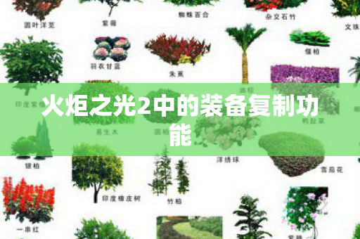 火炬之光2中的装备复制功能图片