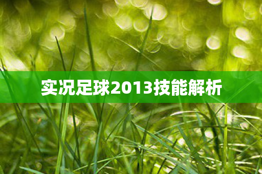 实况足球2013技能解析图片