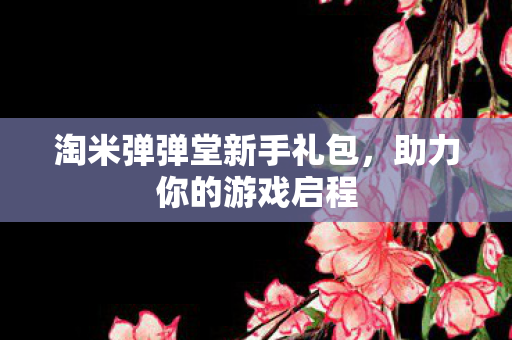 淘米弹弹堂新手礼包图片