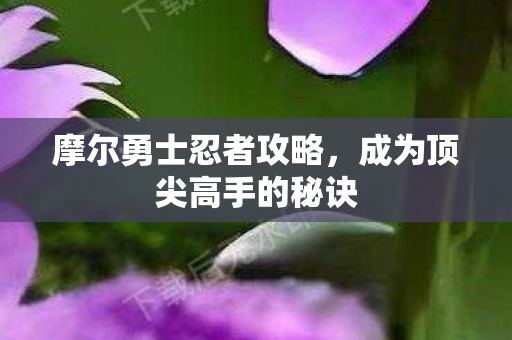 成为顶尖高手的秘诀图片