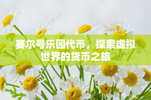 探索虚拟世界的货币之旅图片