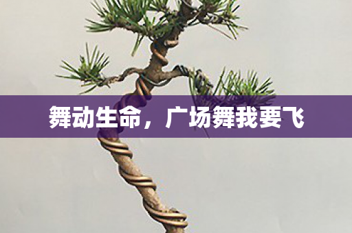 广场舞我要飞图片