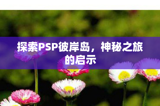 探索PSP彼岸岛图片