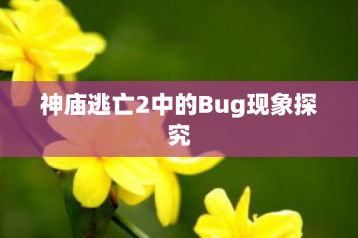 神庙逃亡2中的Bug现象探究图片