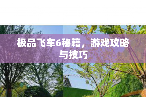 极品飞车6秘籍图片