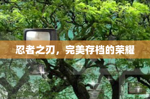 完美存档的荣耀图片