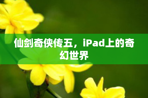iPad上的奇幻世界图片