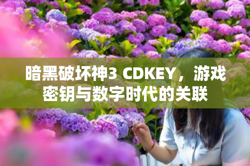 暗黑破坏神3 CDKEY图片