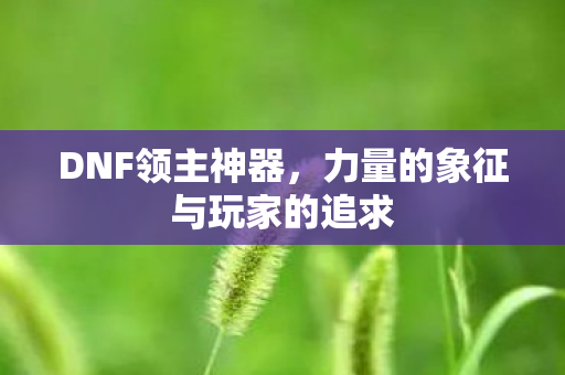 力量的象征与玩家的追求图片