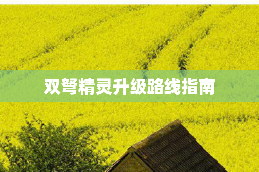双弩精灵升级路线指南图片