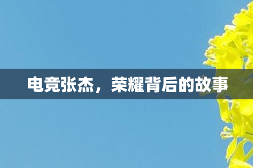 荣耀背后的故事图片