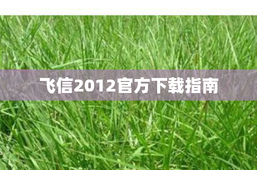 飞信2012官方下载指南图片