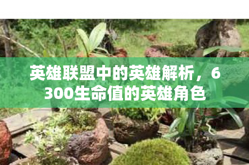 6300生命值的英雄角色图片