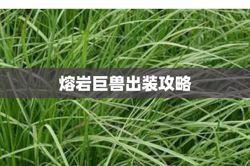 熔岩巨兽出装攻略图片
