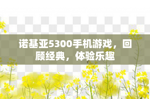 诺基亚5300手机游戏图片