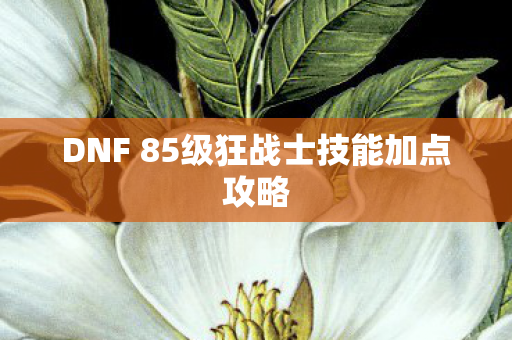 DNF 85级狂战士技能加点攻略图片