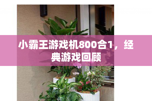 小霸王游戏机800合1图片