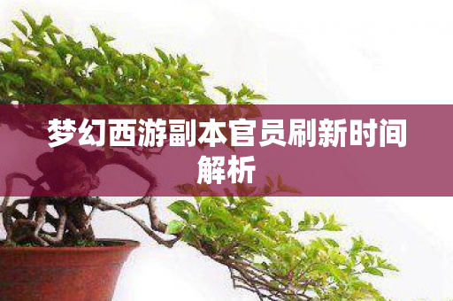 梦幻西游副本官员刷新时间解析图片