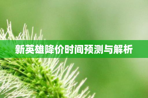 新英雄降价时间预测与解析图片