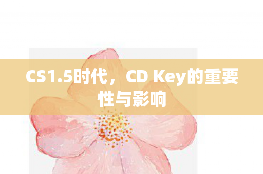 CD Key的重要性与影响图片