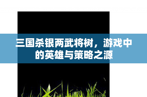 游戏中的英雄与策略之源图片