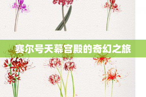 赛尔号天幕宫殿的奇幻之旅图片