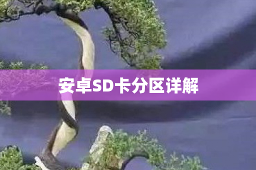 安卓SD卡分区详解图片